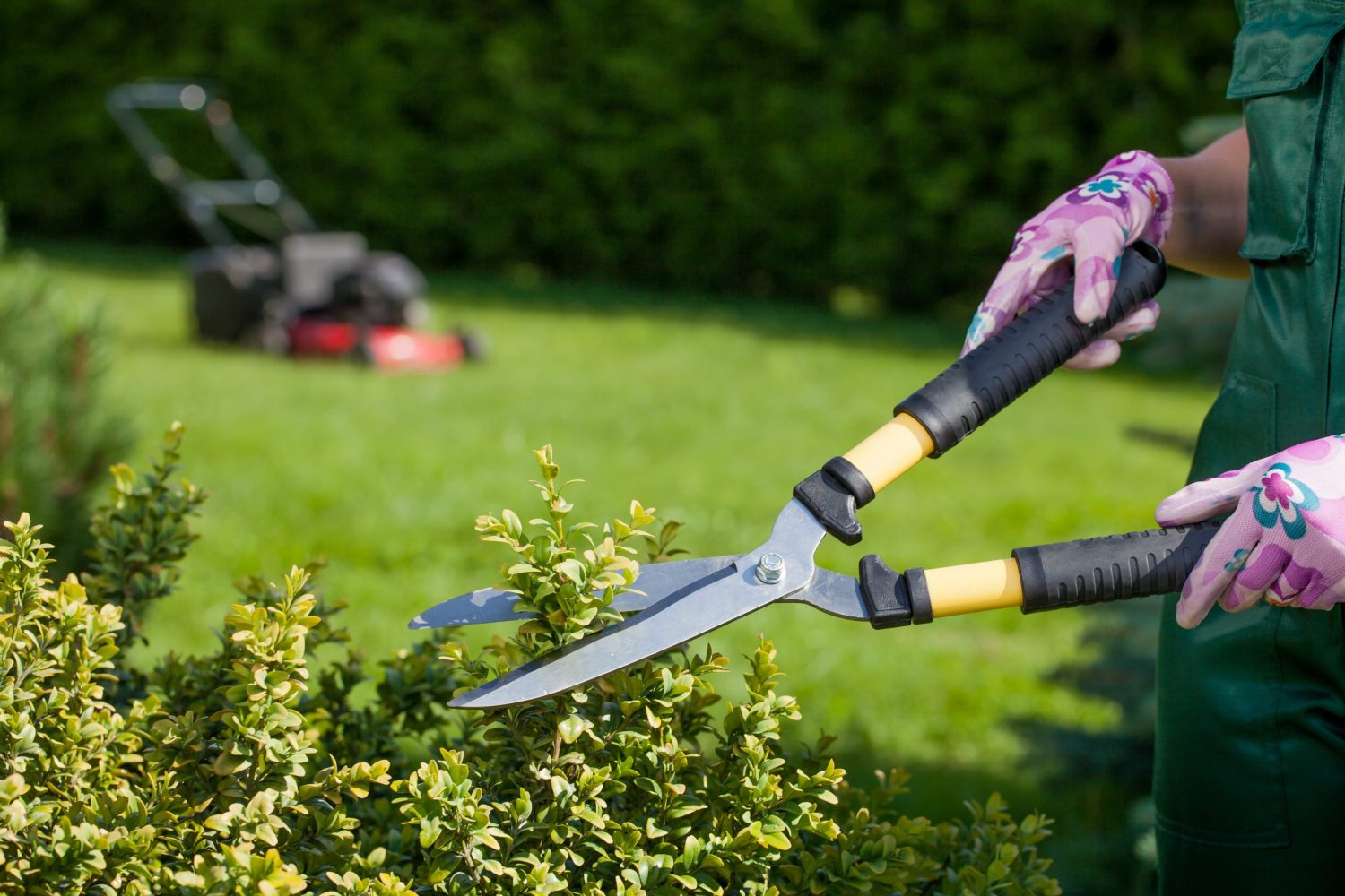 Garden Cleaning